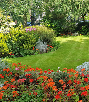 kirsty muskin maintains just beautiful gardens