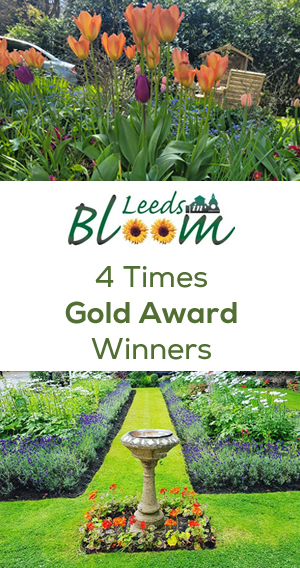 leeds in bloom winners